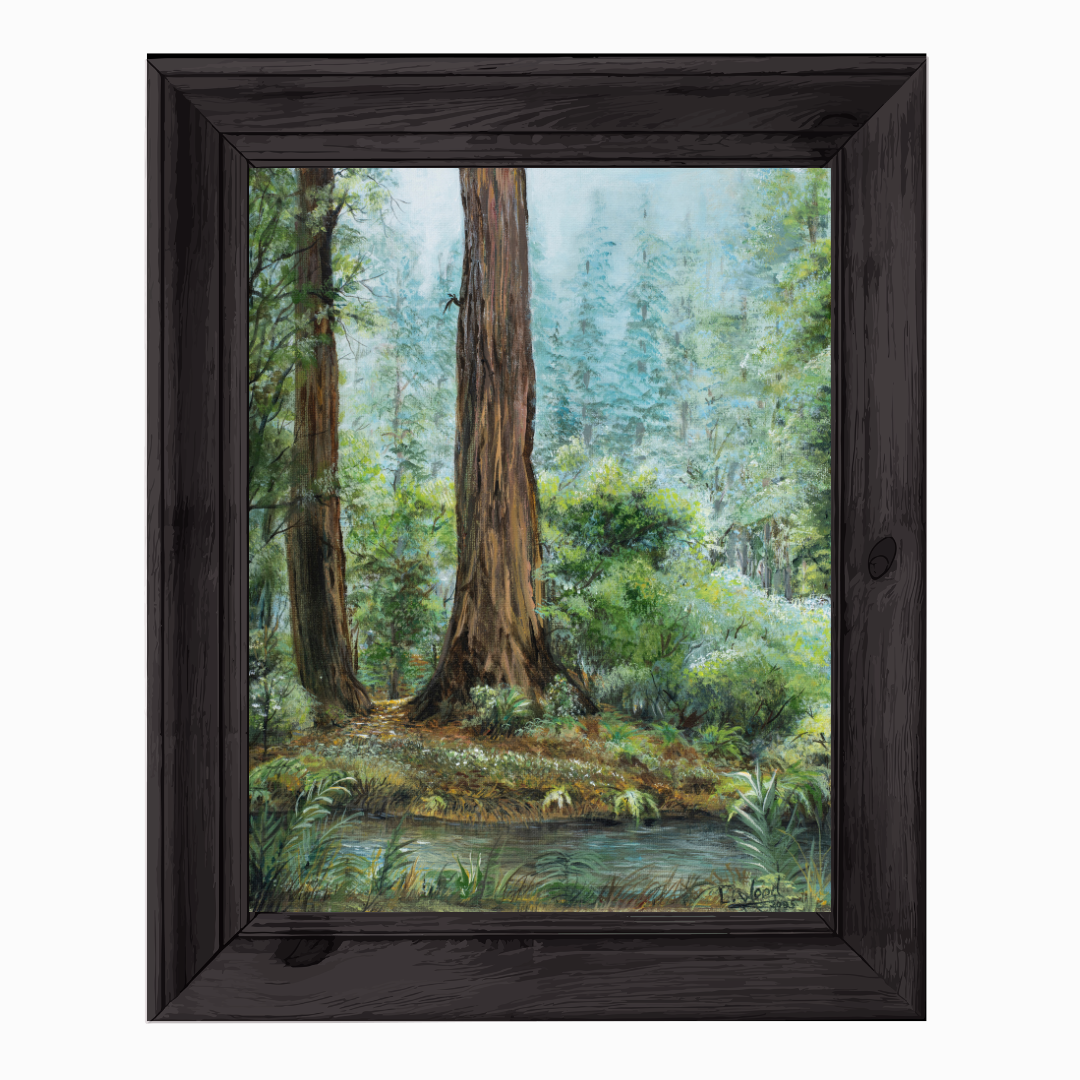Redwood Morning - Replica