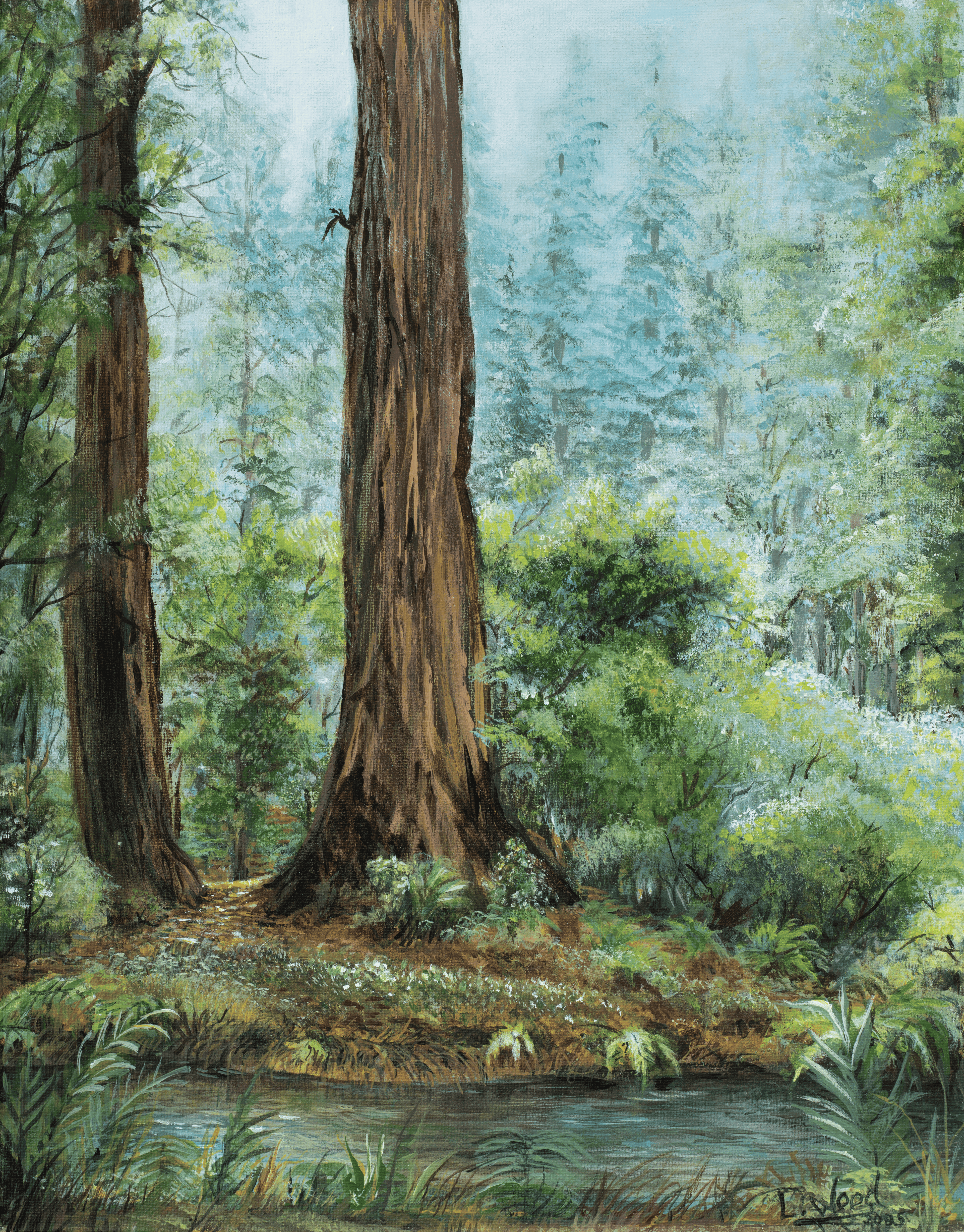 Redwood Morning - Replica