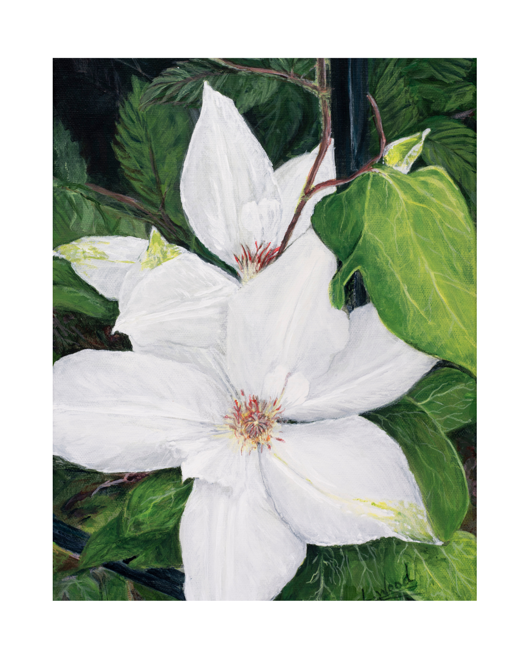 Clematis Bloom is a one of kind original acrylic painting on canvas by Laura Fay Wood Cavaliere. This nature-inspired floral artwork captures the delicate beauty and graceful character of clematis blossoms, bringing a soft and peaceful touch of the garden indoors. This listing if for the original hand-painted artwork, not a reproduction.