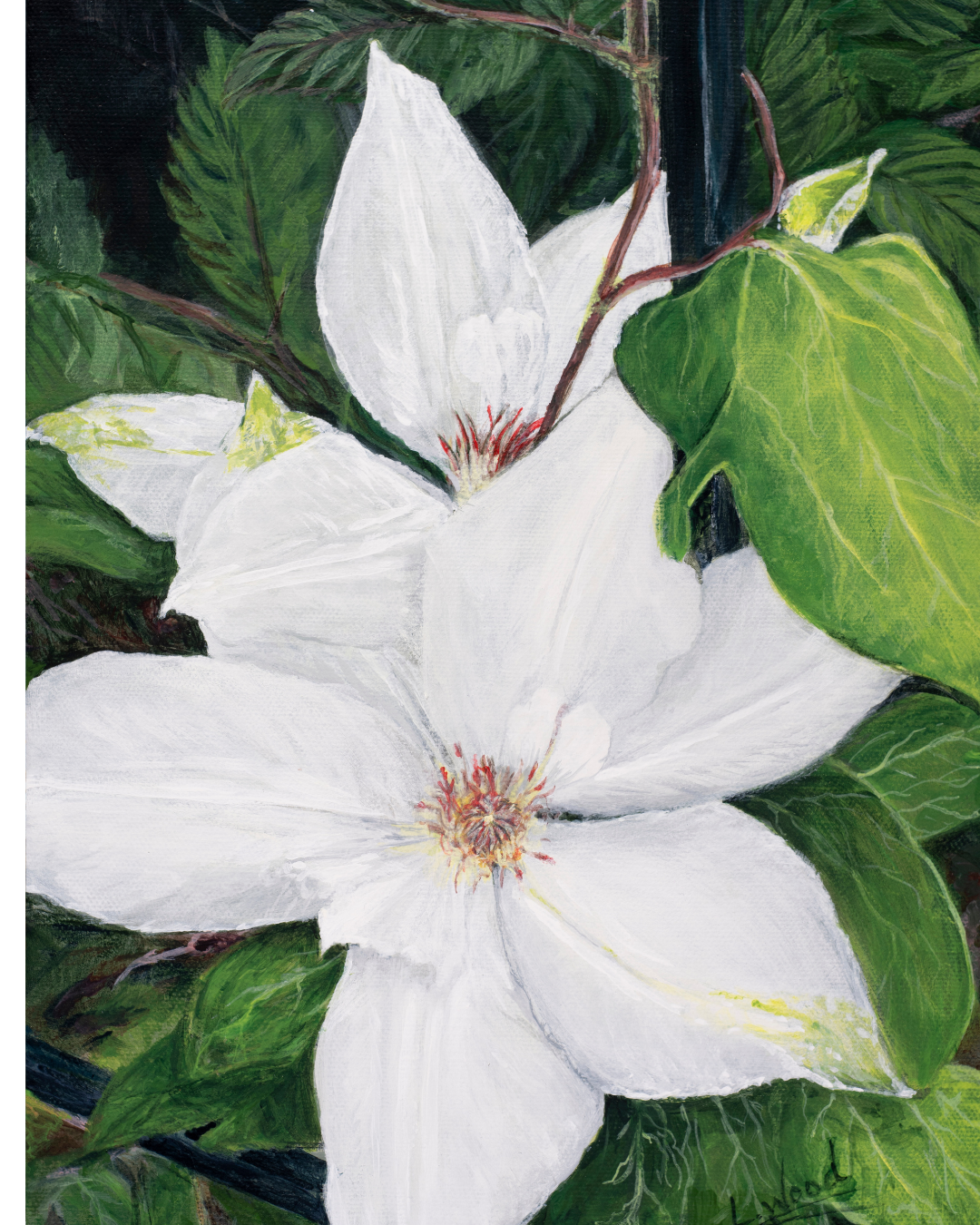 Clematis Bloom is a stretched canvas replica of an original painting by Laura Faye Wood Cavaliere, featuring graceful clematis blossoms in a nature-inspired botanical scene. This fine art reproduction brings the painterly beauty of a blooming garden to the wall with organic detail and a warm, timeless feel.