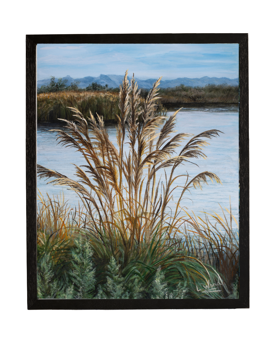 Feathery Light a serene Colorado River landscape featuring tall, feathery grasses glowing in warm sunlight beside a quiet pond, with distant mountains beneath a soft blue sky.
The natural greens, golden gasses, and peaceful water create a tranquil Southwestern atmosphere. 
Presented as a Black - Framed fine art reproduction, this piece is a replica of an original work painted by Laura Fay Wood Cavaliere.