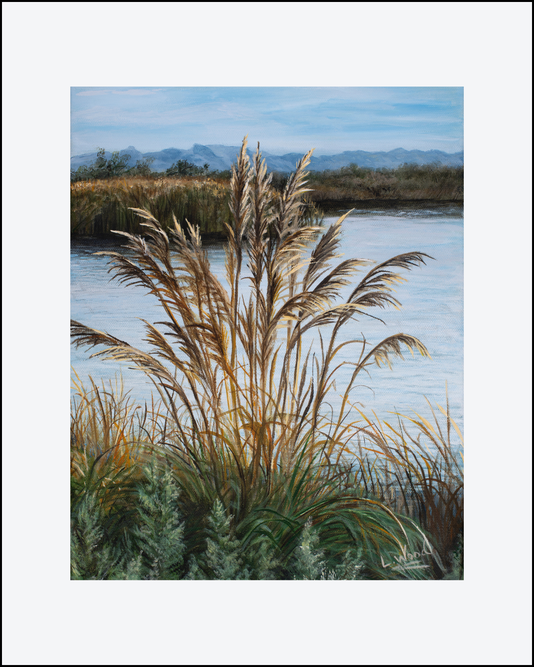 Feathery Light with its delicate golden grasses rises along a quiet pond near the Colorado River, catching the soft light against a backdrop of distant mountains and open sky.
The peaceful palette of earthy greens, warm golds, and cool blues evokes the quiet beauty of the California - Arizona Southwest.
This matted paper print is a replica of the original artwork painted by Laura Fay Wood Cavaliere.