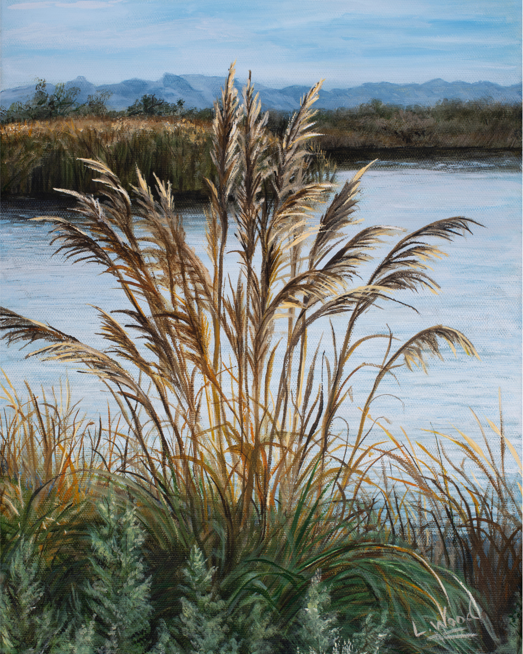 Feathery Light with its tall, gracefull grasses sway beside a peaceful pond along the Colorado River, their feathery seed heads illuminated by warm natural light. Distant mountains, soft blue water, and a gentle Southwestern landscape create a callming conection to nature. 
Printed on stretched canvas, this fine art reproduction brings the qiet beauty of the river landscape into your home.
This piece is a replica of an original work painted by Laura Fay Wood Cavaliere.