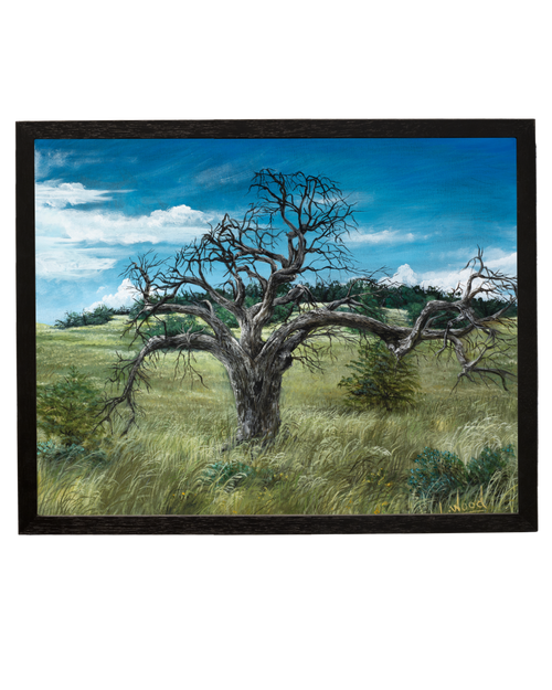 Framed fine art reproduction of Gnarled Oak, featuring a weathered oak tree standing alone in a windswept prairie beneath a vibrant blue sky, painted by Laura Fay Wood Cavaliere.