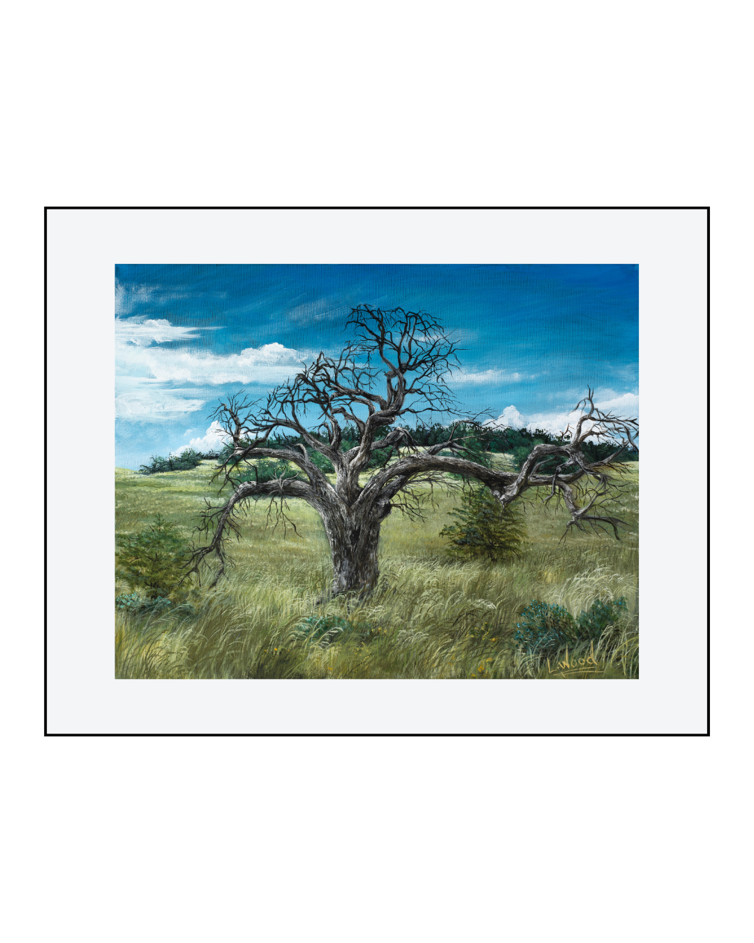Gallery-wrapped stretched canvas reproduction of Gnarled Oak, showcasing a rugged oak tree in an open prairie landscape with sweeping grasses and a vivid blue sky, painted by Laura Fay Wood Cavaliere.