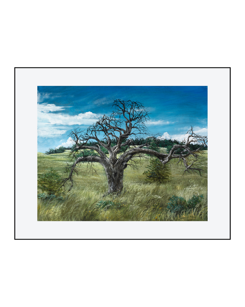 Gallery-wrapped stretched canvas reproduction of Gnarled Oak, showcasing a rugged oak tree in an open prairie landscape with sweeping grasses and a vivid blue sky, painted by Laura Fay Wood Cavaliere.