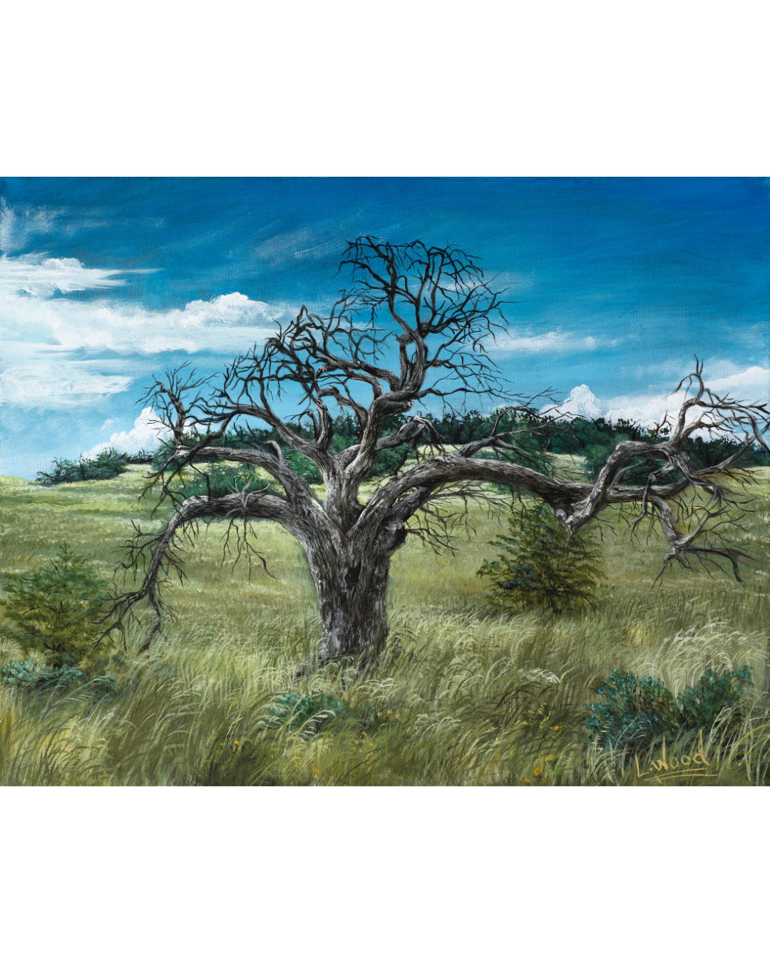 Gallery-wrapped stretched canvas reproduction of Gnarled Oak, showcasing a rugged oak tree in an open prairie landscape with sweeping grasses and a vivid blue sky, painted by Laura Fay Wood Cavaliere.