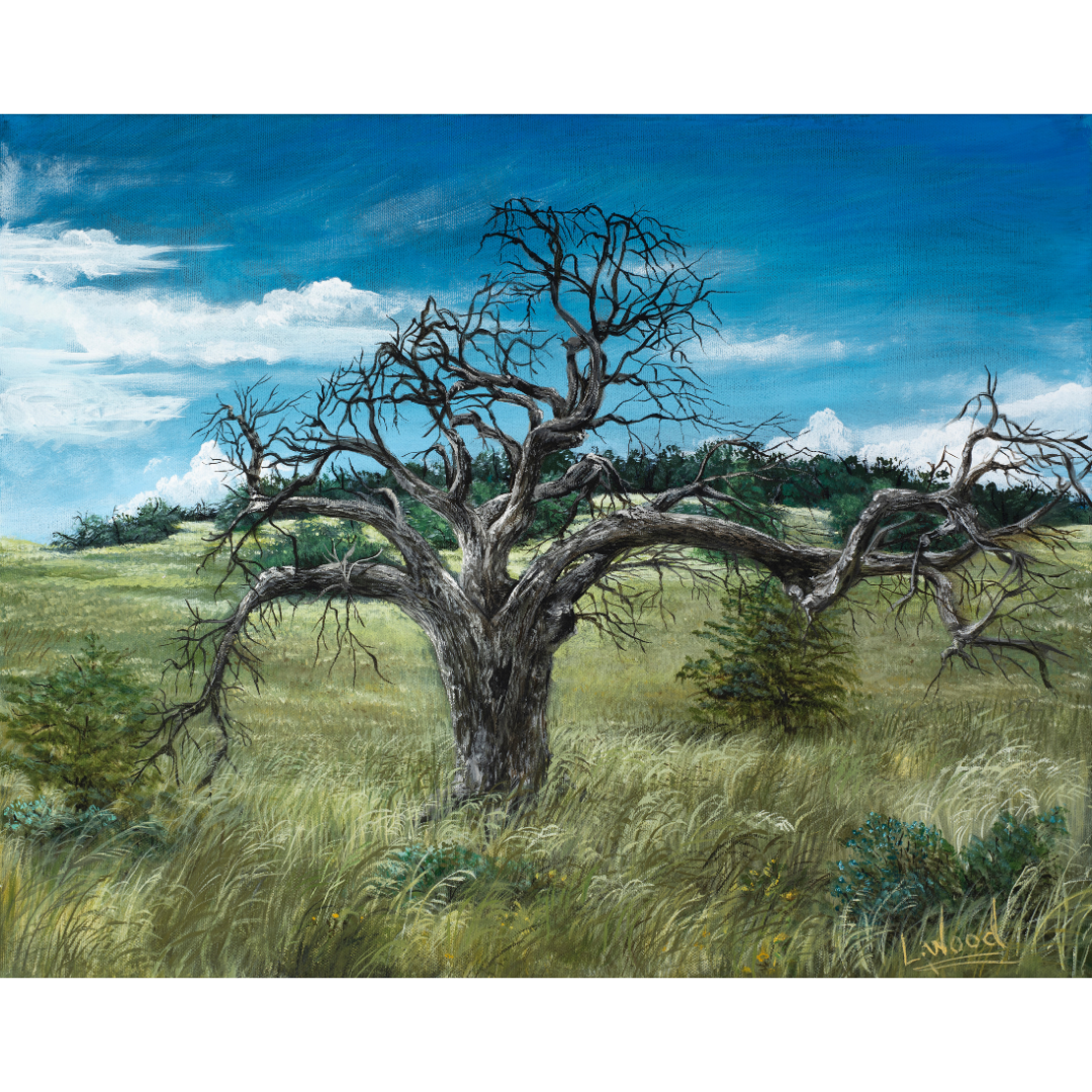 Gnarled Oak on the Prairie - Replica