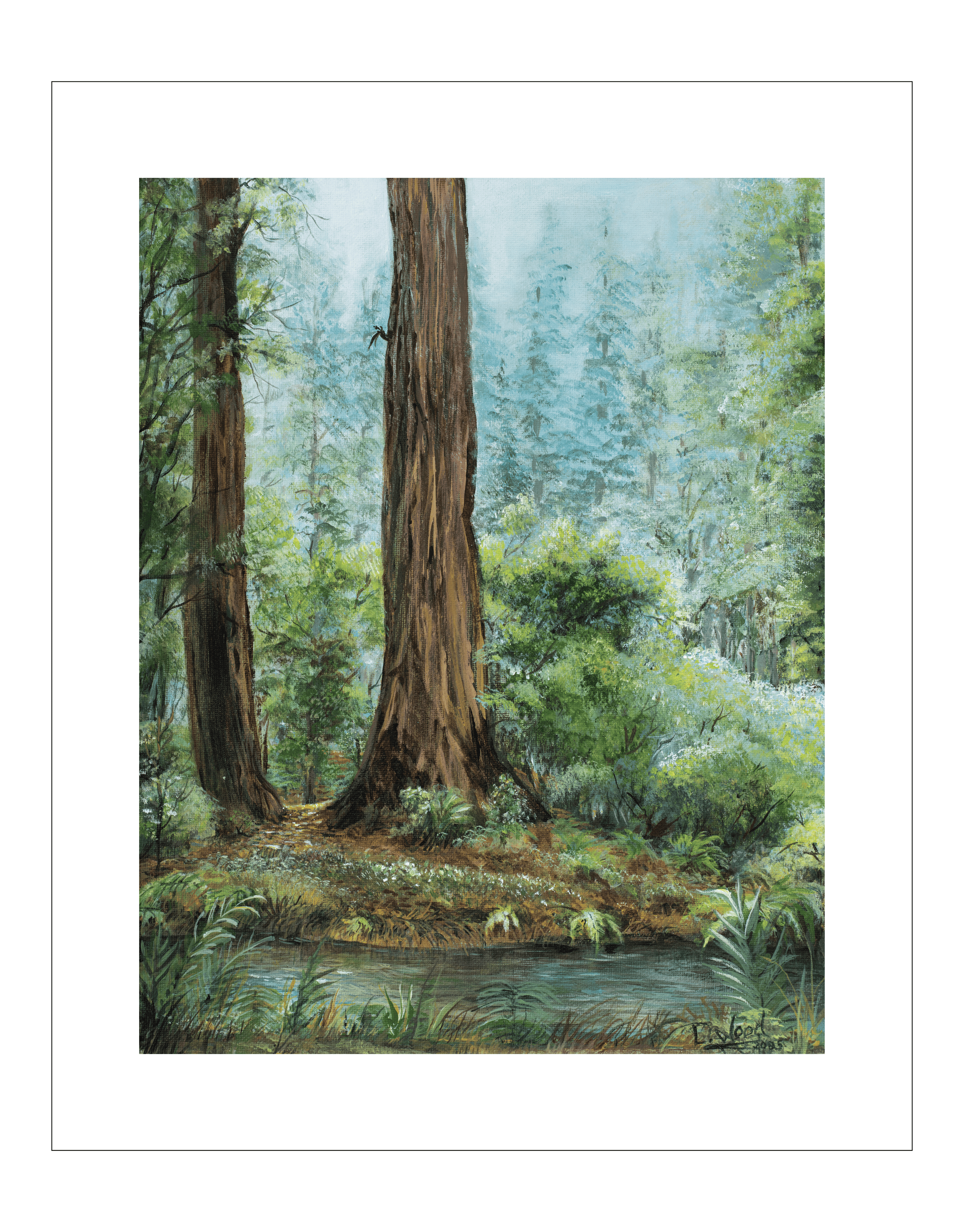 Redwood Morning - Replica