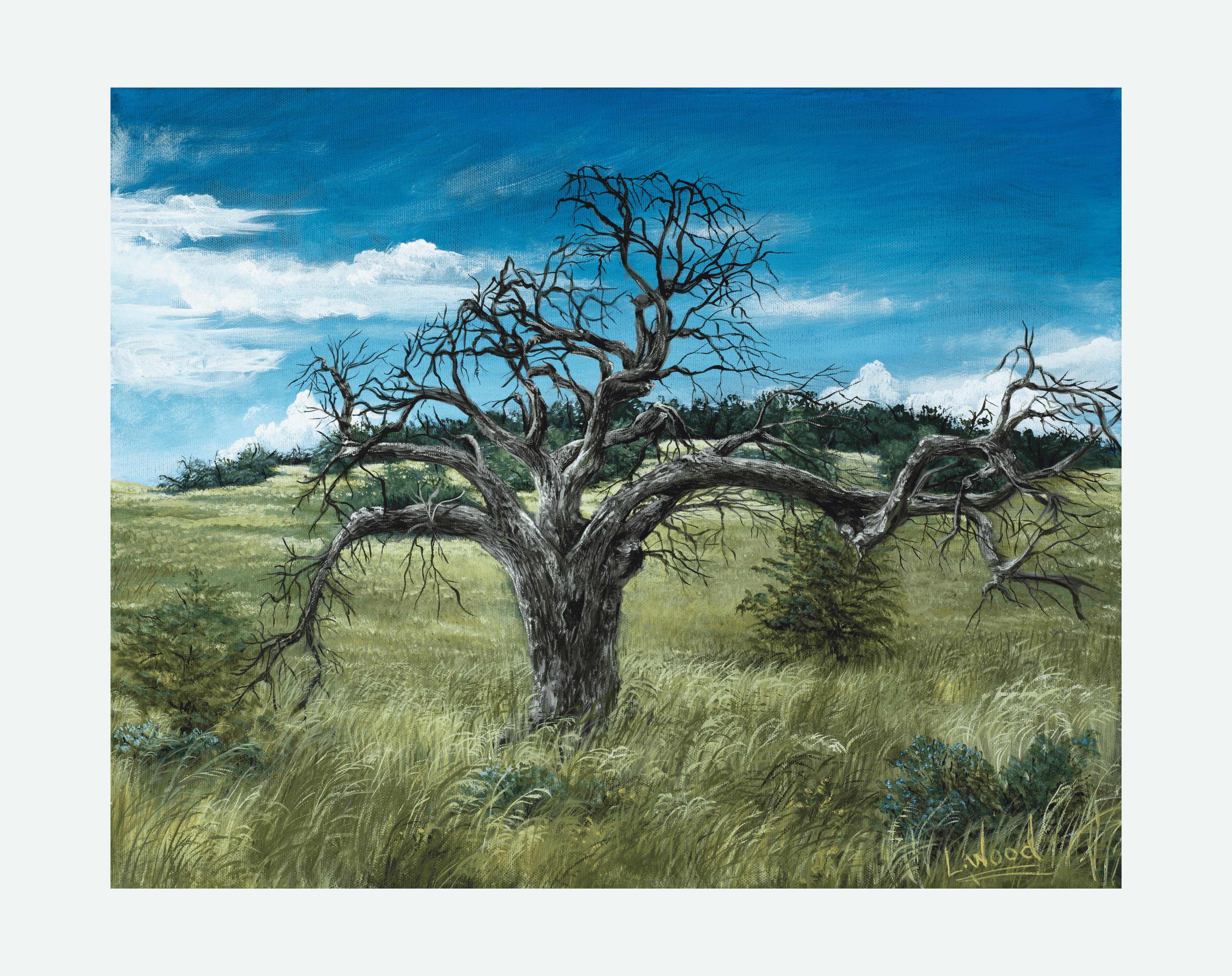 Gnarled Oak on the Prairie - Replica