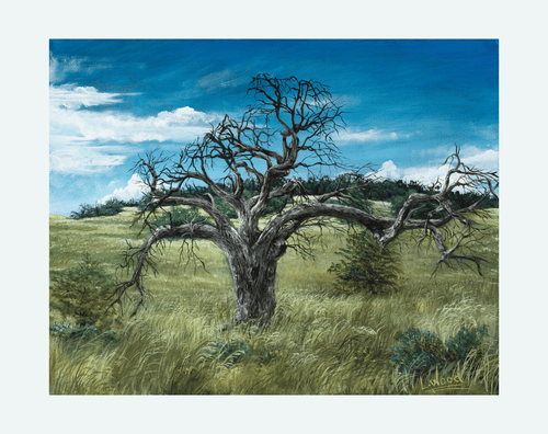 Gnarled Oak on the Prairie - Replica
