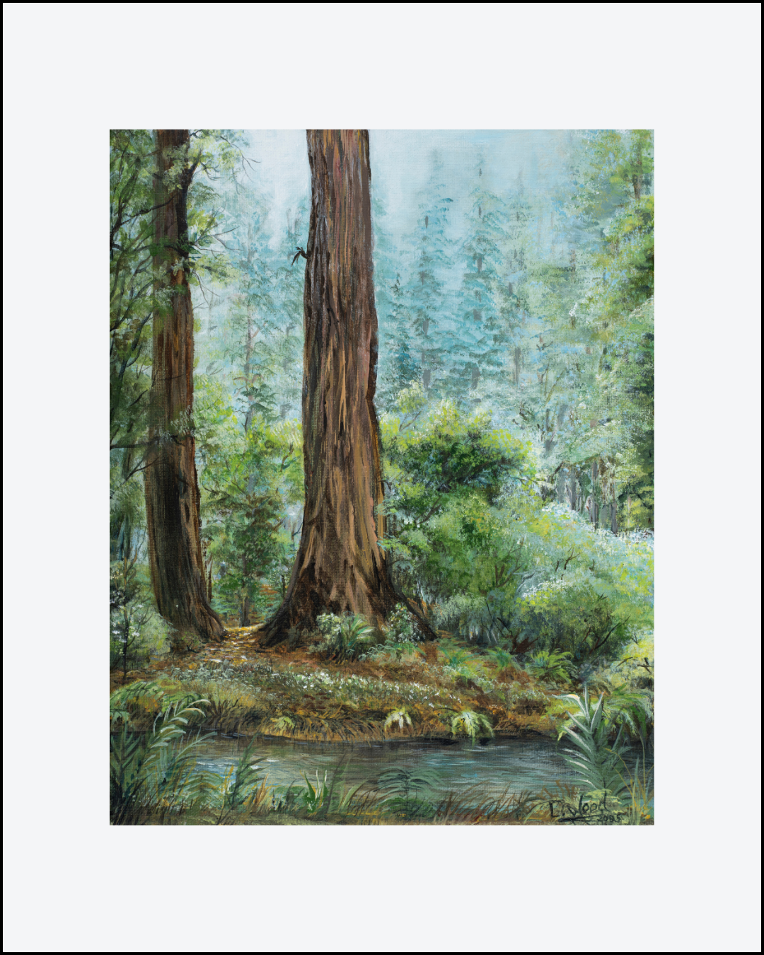 Matted fine art paper reproduction of a tranquil forest scene with majestic redwood trees, soft morning light, verdant undergrowth and a gentle stream, painted by Laura Fay Wood Cavaliere.