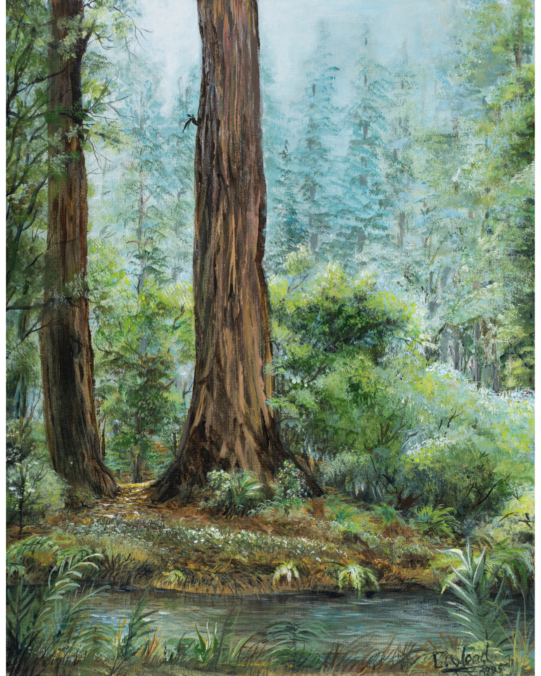 Gallery-wrapped stretched canvas reproduction of a serene woodland landscape showcasing towering redwood trees, dense green foliage and a calm forest stream, painted by Laura Fay Wood Cavaliere.