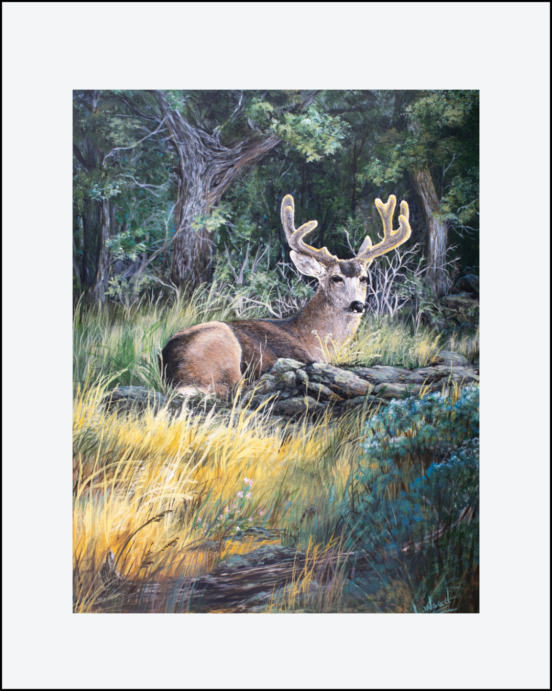 Velvet Morning - Portraying a majestic buck nestled among golden grasses at the edge of a quiet woodland. Gentle morning light highlights his velvet antlers while layers of deep greens, earthy browns, and golden grasses create a serene natural setting. This replica brings the peaceful beauty of the original painting by Laura Fay Wood Cavaliere.