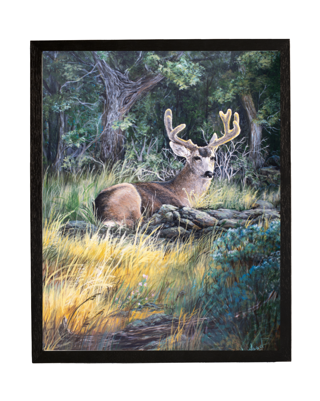 Velvet Morning - An evocative wildlife painting featuring a handsome buck resting peacefully among sunlit grasses and woodland foliage. The soft morning light illuminates his velvet-covered antlers and warm brown coat, creating a beautiful contrast against the cool, shadowed forest. This replica captures the quiet strength, natural beauty, and peaceful stillness of the original work painted by Laura Fay Wood Cavaliere.
