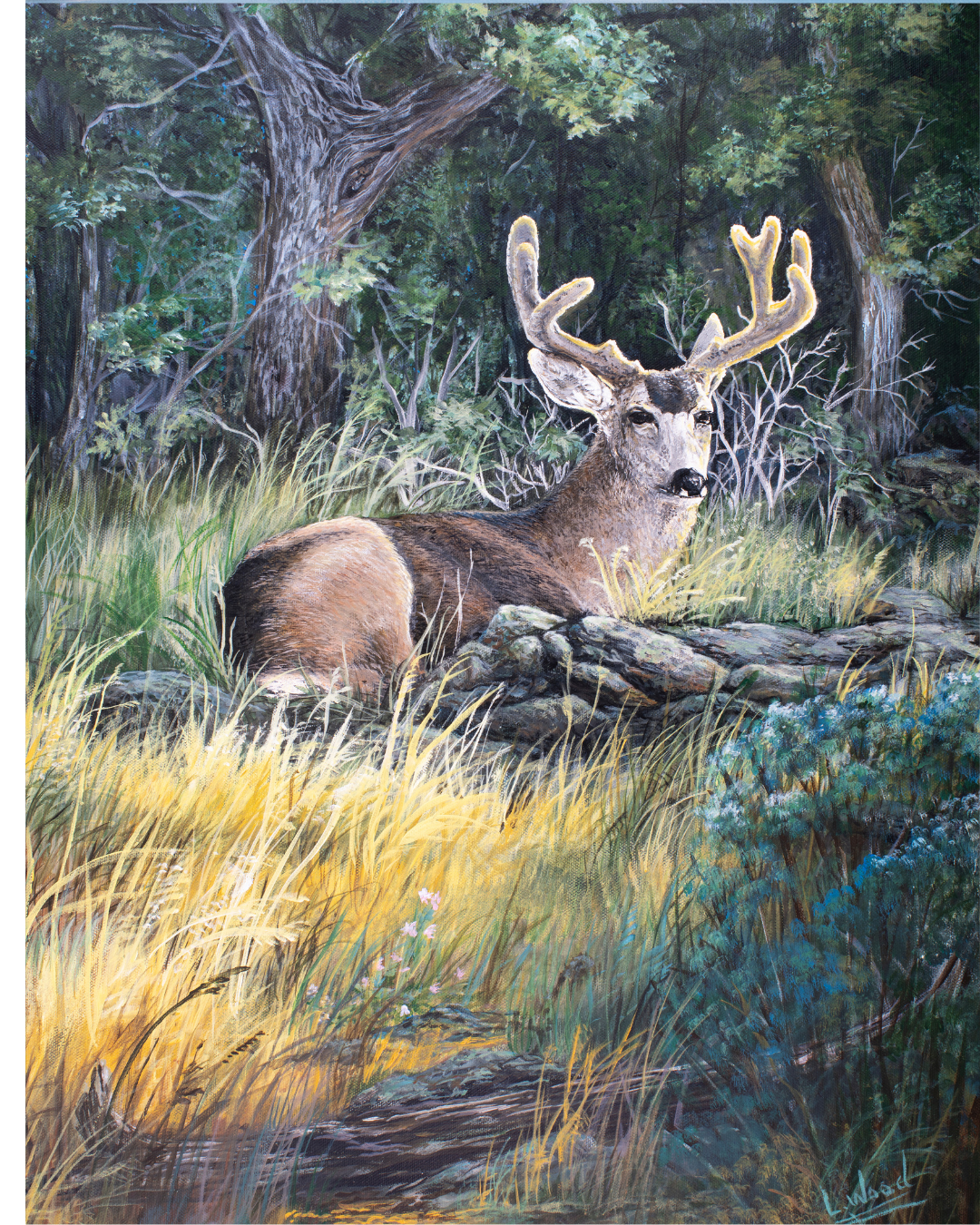 Velvet Morning - A richly detailed wildlife painting capturing a buck at rest in the soft light of morning. His velvet-covered antlers rise against the shadowed woodland, while golden grasses and cool green foliage surround him in a tranquil natural setting. This replica preserves the depth, texture, and atmosphere of the original work painted by Laura Fay Wood Cavaliere, making it a beautiful statement piece for any nature-inspired space.
